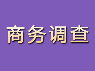 泸溪商务调查